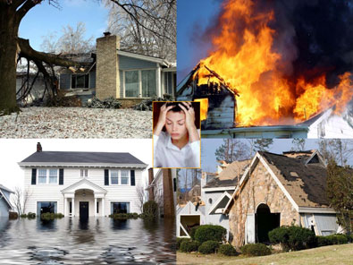 why you need a public adjuster