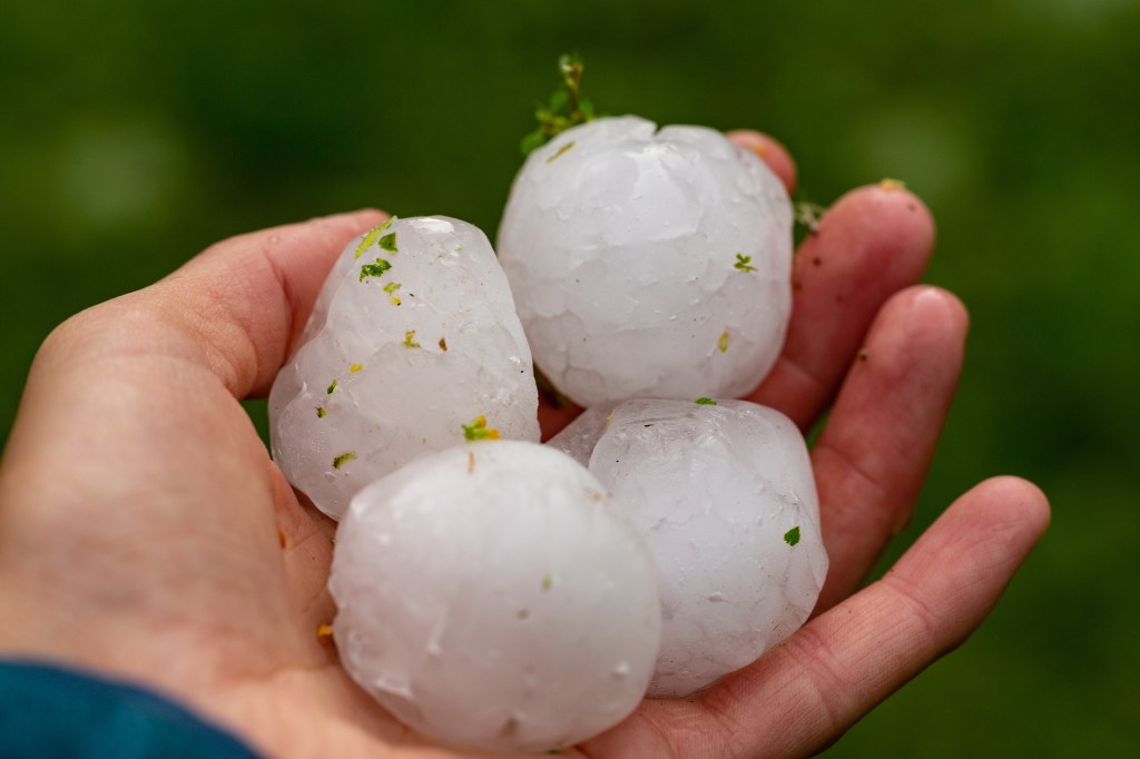 Hand holding large pieces of hail